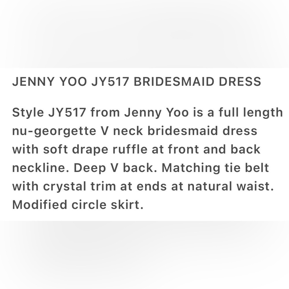 Jenny Yoo Elegant Red Maxi Dress - Picture 9 of 11